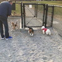 Photo taken at Little Bay Park Dog Run by Michael C. on 12/23/2016