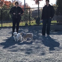 Photo taken at Little Bay Park Dog Run by Michael C. on 11/11/2016