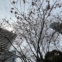 Photo taken at Kyu Shiba Rikyu Garden by ふぇりーぬ .. on 3/24/2024