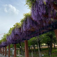Photo taken at 岩ケ池公園 by doalamania on 4/24/2021
