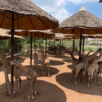 Photo taken at giraffe feeding by Stanislav B. on 4/29/2019
