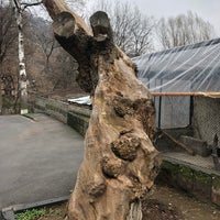 Photo taken at Yerevan Zoo by Андрей Б. on 3/17/2023