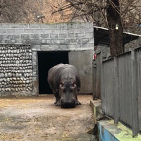 Photo taken at Yerevan Zoo by Андрей Б. on 3/17/2023