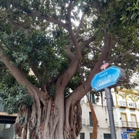 Plaza Del Cristo De Burgos Place A Sevilla