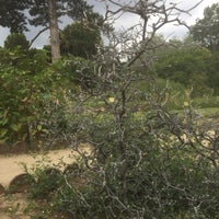 Photo taken at Jardin de l&amp;#39;École de Botanique by Marcel L. on 7/13/2017