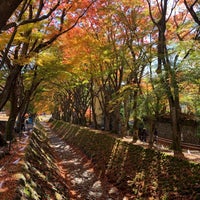 Maple Corridor 南都留郡 山梨県 Maple Corridor 南都留郡 山梨県