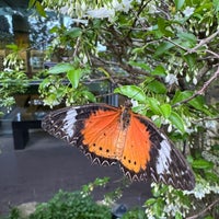 Photo taken at Butterfly Garden by Scott R. on 2/14/2024