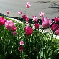 Photo taken at Haddonfield Public Library by Amy on 5/1/2013