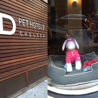 รูปภาพถ่ายที่ D Pet Hotels โดย Vasili T. เมื่อ 8/22/2015