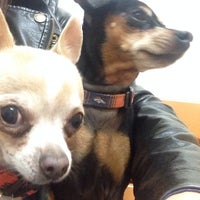 Photo taken at PetSmart by Denise V. on 10/5/2013