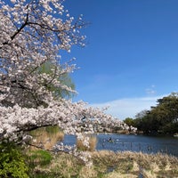 Photo taken at Shakujii Pond by Takeshi U. on 4/7/2024
