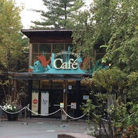 Photo taken at The Dancing Crane Cafe by Andrew L. on 10/20/2020