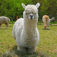 えこりん村 4 Tips From 808 Visitors