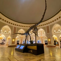 Photo taken at DubaiDino by Victor D. on 1/13/2021