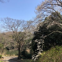 Photo taken at 鴨池公園 by 抹茶 on 3/18/2021