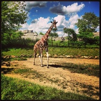 Photo taken at The Plains At The Zoo by Conrad W. on 7/27/2013