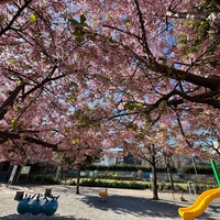 Photo taken at 染井よしの桜の里公園 by Matt on 3/3/2024