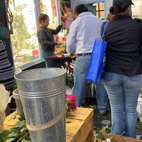 La Florería Café - Coffee Shop