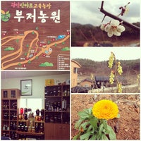 Photo taken at 부저농원 by Kyungbae Y. on 3/17/2013