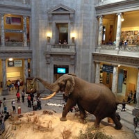 Photo taken at National Museum of Natural History by Harjit on 4/21/2013