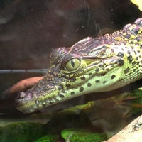 Photo taken at Reptile Discovery Center by Harjit on 4/23/2013