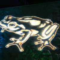 รูปภาพถ่ายที่ frog SXSW Interactive Opening Party โดย Salsa A. เมื่อ 3/9/2013