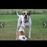 Kansas Humane Society - Animal Shelter