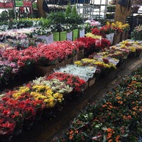 Mercado de Flores do Cadeg - Benfica - 8 dicas de 261 clientes
