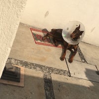 1/2/2018 tarihinde Rafaelziyaretçi tarafından Hospital Veterinario del Valle'de çekilen fotoğraf