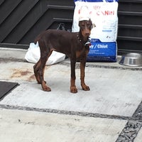 Foto tirada no(a) Hospital Veterinario del Valle por Rafael em 7/3/2017