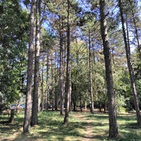 Photo taken at Zvezdarska šuma by Alex J. on 8/26/2023