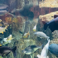 Photo taken at Emaar Aquarium &amp;amp; Underwater Zoo by HülyaNaz🐬 on 11/18/2023