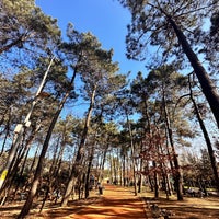 Photo taken at Doğa Parkı by HülyaNaz🐬 on 2/24/2024