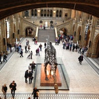 Photo taken at Natural History Museum by Mar D. on 5/9/2013