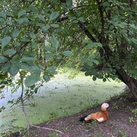Photo taken at Старинный пруд by Iennifer on 6/27/2021
