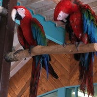 Wildlife World Zoo And Aquarium - 51 tips from 3106 visitors