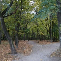 Photo taken at Бег в парке Сокольники by Sofia K. on 10/12/2015