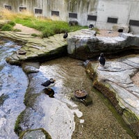 Photo taken at Tierpark Dählhölzli by William C. on 7/11/2020