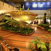 Photo taken at Singapore Changi Airport (SIN) by Thomas L. on 11/7/2013