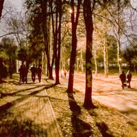 Photo taken at Sokolniki Park by Alexander C. on 11/1/2015