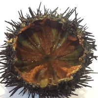 Ristorante Corallium Sarpi 3 Tips