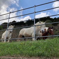 Photo taken at Hattori Farm by すうちゃん on 3/29/2023