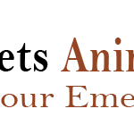 Photo prise au All Pets Animal Hospital &amp;amp; 24 Hour Emergency Care par Aigee M. le8/20/2019