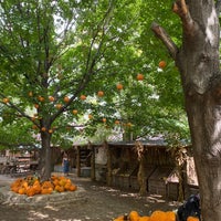 Photo taken at Vala&amp;#39;s Pumpkin Patch &amp;amp; Apple Orchard by Madster on 9/18/2022