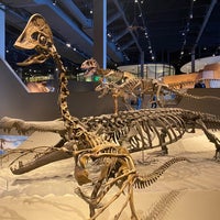Foto tomada en Natural History Museum of Utah  por Madster el 1/8/2023
