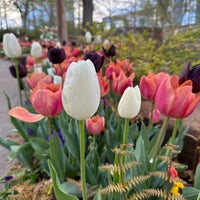 Photo taken at Myriad Botanical Gardens by Madster on 3/26/2024