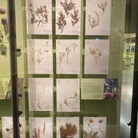 Das Foto wurde bei Natural History Museum of Utah von Madster am 1/8/2023 aufgenommen
