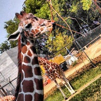 Blank Park Zoo 7401 Sw 9th St