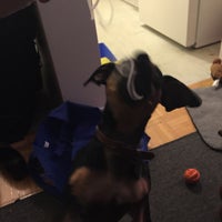 Pho King Fabulous Vietnamese Restaurant