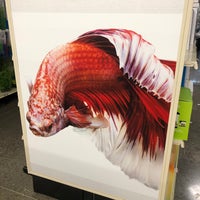 petsmart scarborough